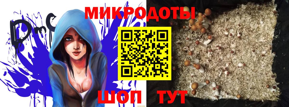 Галлюциногенные грибы прущие грибы  Вход с VPN  Кореновск 